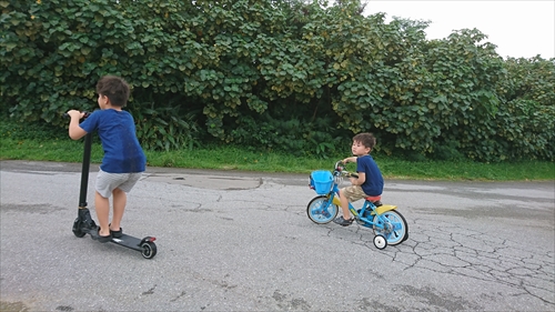 6���E�N���[�v�ނ���ނ���j�I